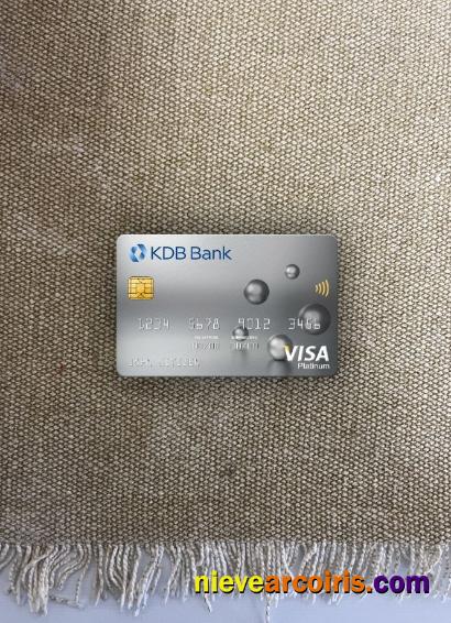 South Korea KDB bank visa platinum card photolook